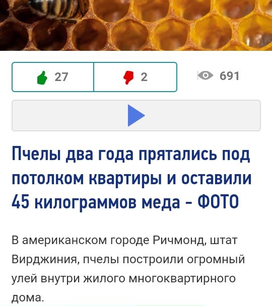 27 2 0691 Пчелы два года прятались под потолком квартиры и оставили 45 килограммов меда ФОТО В американском городе Ричмонд штат Вирджиния пчелы построили огромный улей внутри жилого многоквартирного дома