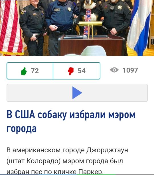72 54 в 1097 В США собаку избрали мэром города В американском городе Джорджтаун штат Колорадо мэром города был избран лес по кличке Паркев