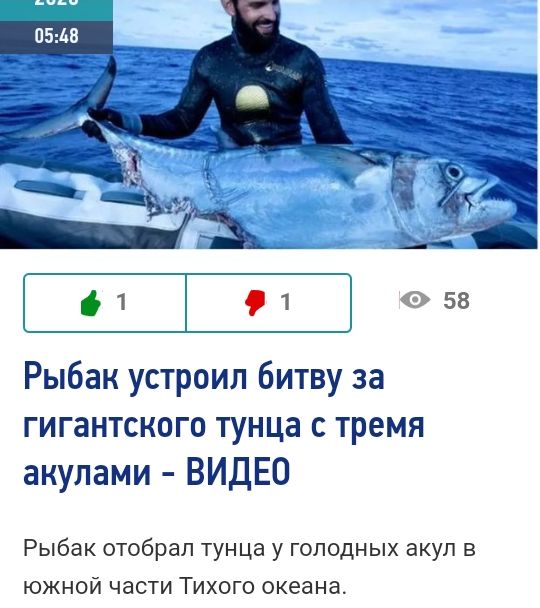 1 9 1 0 58 Рыбак устроил битву за гигантского тунца с тремя акулами ВИДЕО Рыбак отобрал тунца у голодных акул в южной части Тихого океана