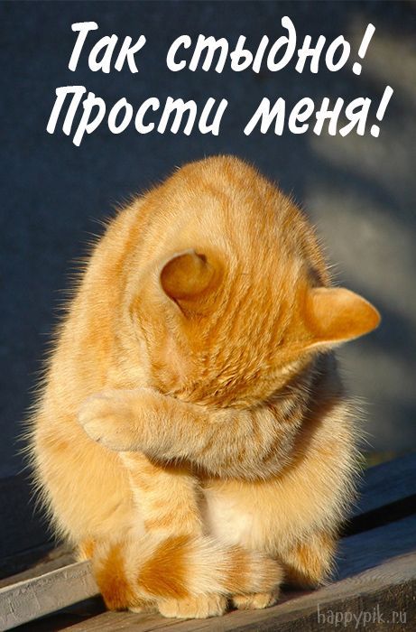 Так стыдно Проста меня
