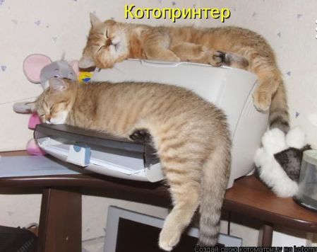 Кит 0 _ Н