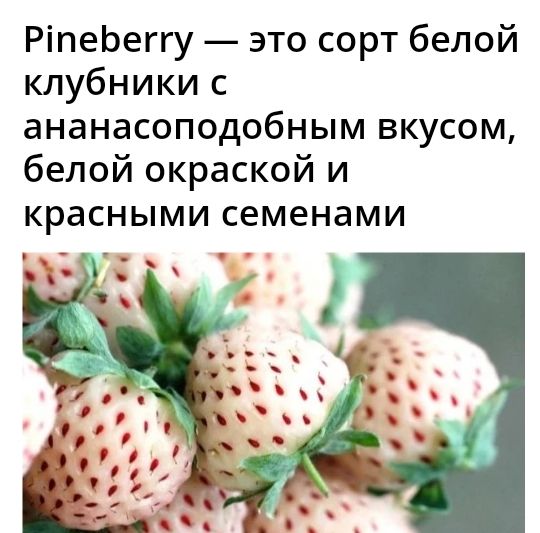 РіпеЬеггу это сорт белой клубники с ананасоподобным вкусом белой окраской и красными семенами