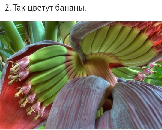 ы Н а Н а 6 Т е В Ц К д 2