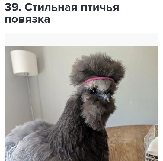 39 Стильная птичья повязка