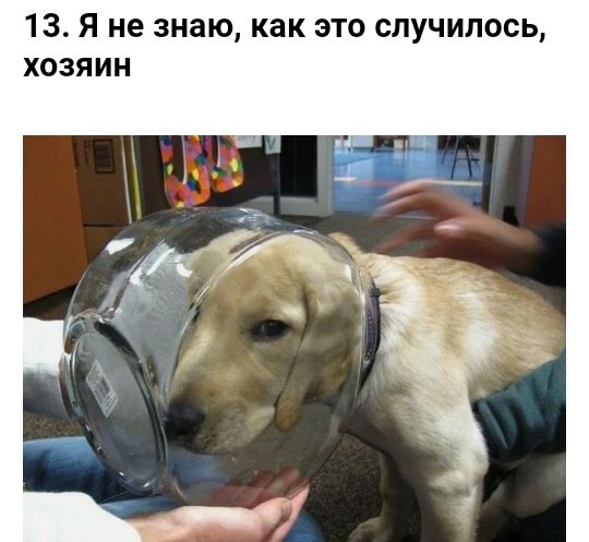 13 Я не знаю как это случилось хозяин