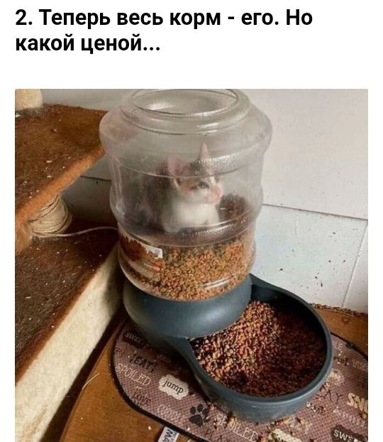 2 Теперь весь корм его Но какой ценой