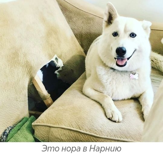 Это нора в Нарию