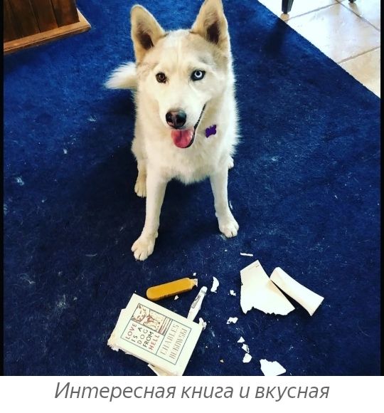 Интересная КНЦЗд Ц ВКУСНЭЯ