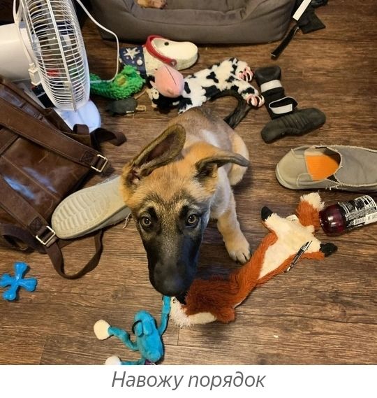 К о 5 Я О О Л У Ж В а Н