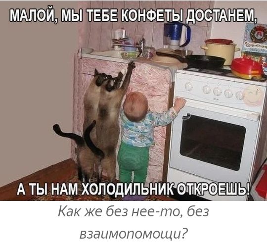 А ты намХоподуільник атташе Как же без нее то без ВЗЭЦМОПОМОЩЦ