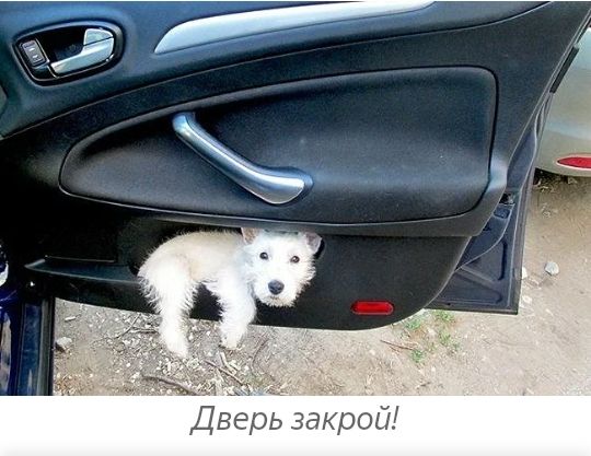 Дверь закрой