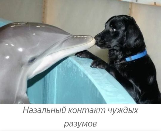 Ш _ Назапьный КОНпаши чуждых разумов