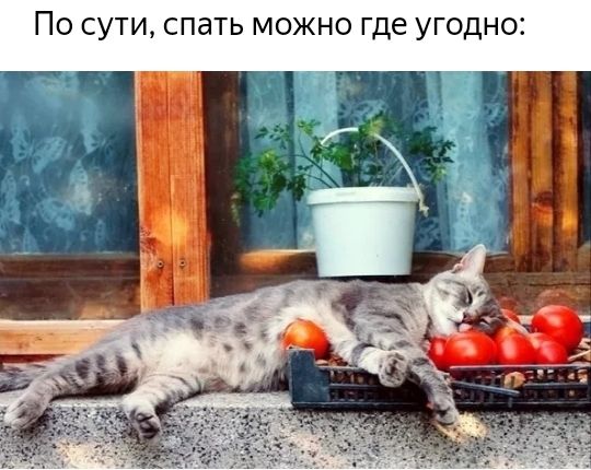По сути спать можно где угодно