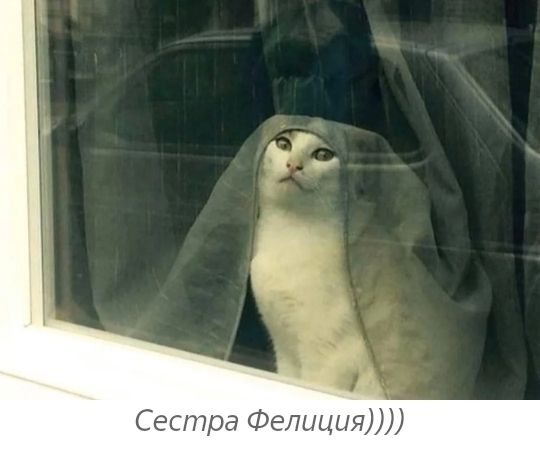 л Сестра Фетшт
