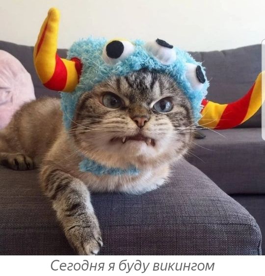 Сегодня я буду викингам
