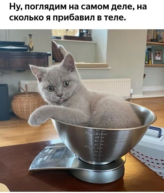 НУ ПОГЛЯДИМ на самом деле на СКОЛЬКО Я прибавил В теле