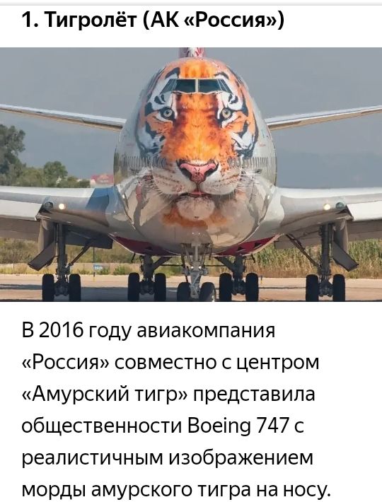 1 Тигролёт АК Россия В 2016 году авиакомпания Россия совместно с центром Амурский тигр представила общественности Воеіп9 747 с реалистичным изображением морды амурского тигра на носу