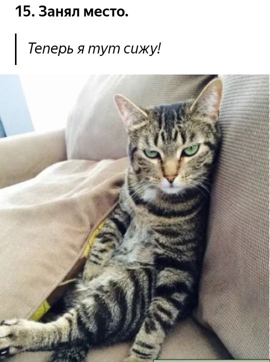 15 Занял место Теперь я тут сижу