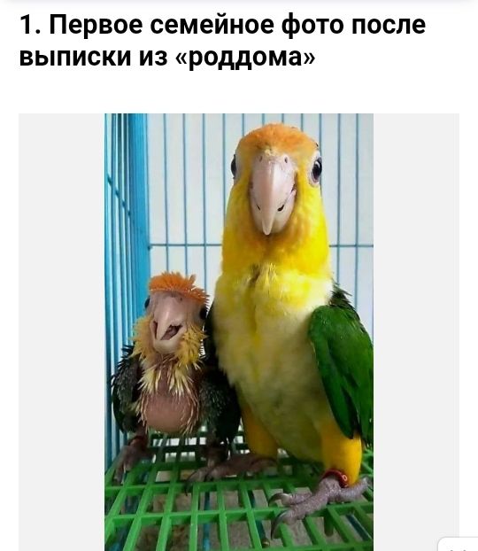 1 Первое семейное фото после выписки из роддома