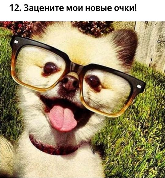 12 Зацените мои новые очки
