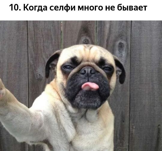 10 Когда селфи много не бывает