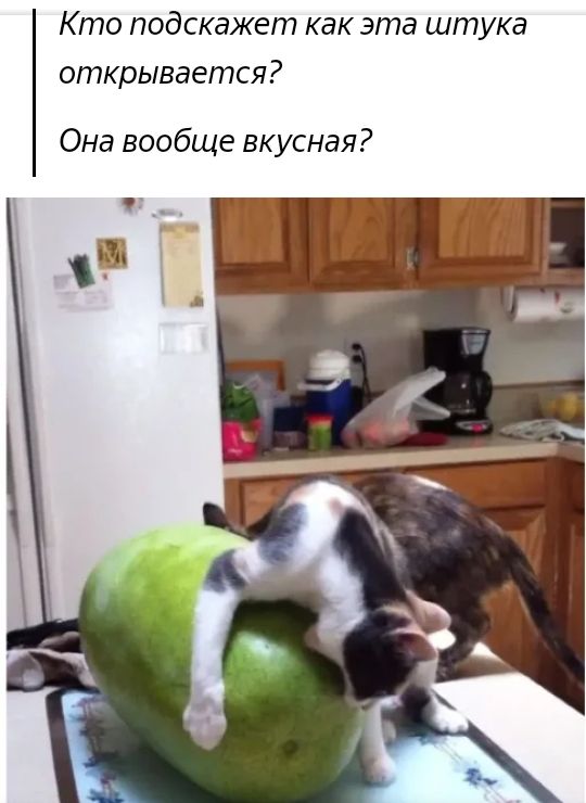 Кто подскажет как эта штука открывается Она вообще вкусная