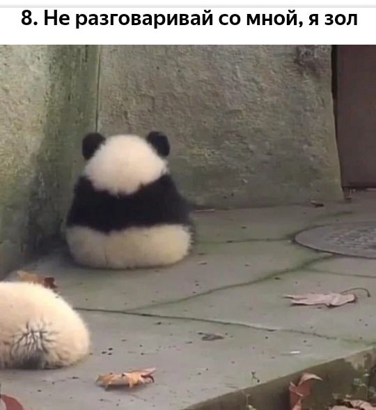 8 Не разговаривай со мной я зол