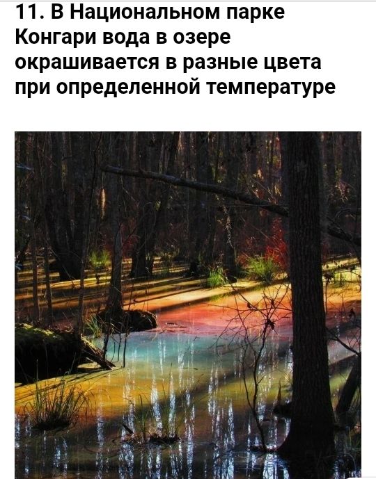 11 В Национальном парке Конгари вода в озере окрашивается в разные цвета при определенной температуре