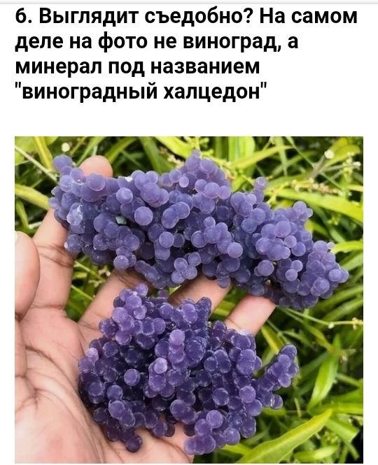 б Выглядит съедобно На самом деле на фото не виноград а минерал под названием виноградный хапцедон