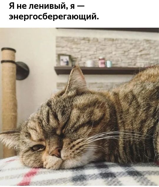 Я не ленивый я энергосберегающий