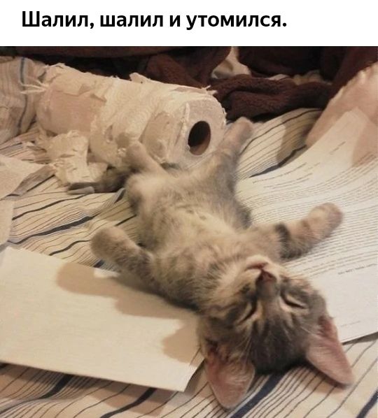 Шапил шалил И УТОМИЛСЯ
