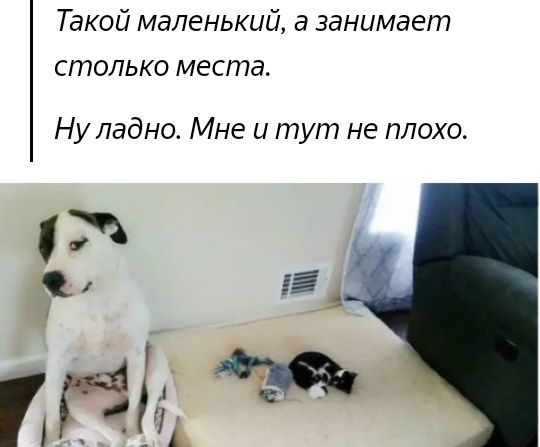 Такой маленький а занимает столько места Ну ладно Мне и тут не плохо