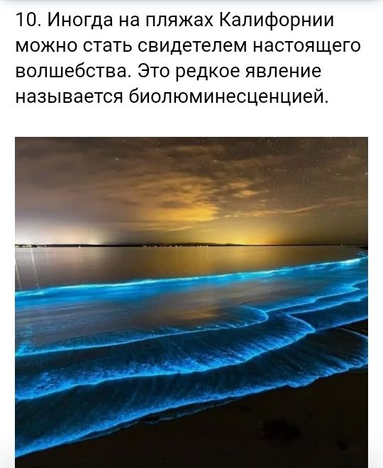 10 Иногда на пляжах Калифорнии можно стать свидетелем настоящего волшебства Это редкое явление называется биолюминесценцией