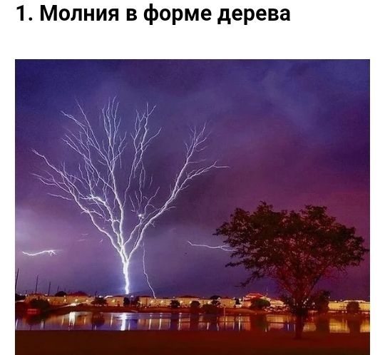 1 Молния в форме дерева