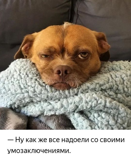 ну как же все надоели СО СВОИМИ МОЗдКЛЮЧЕНИЯМИ