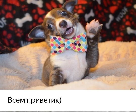 Всем приветик