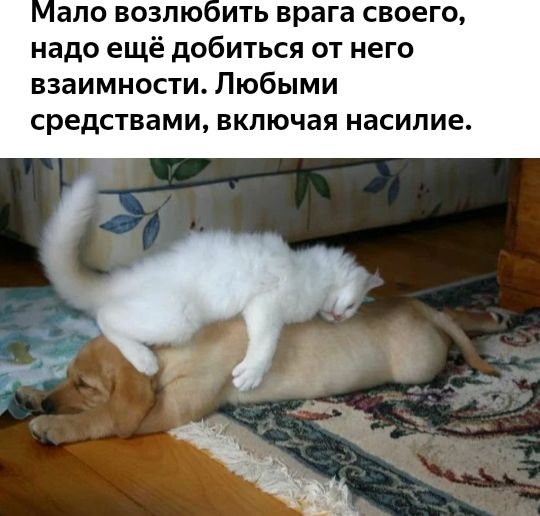ало возлю ить врага своего надо ещё добиться от него взаимности Любыми средствами ВКПЮЧЭЯ насилие