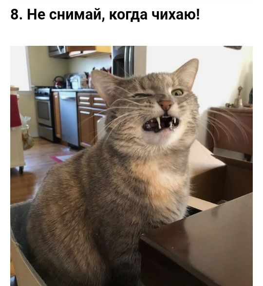 8 Не снимай когда чихаю
