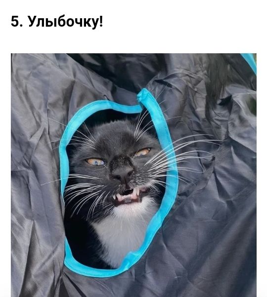 т Ч О Ю у