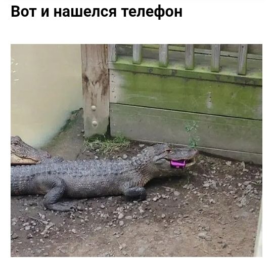 Вот и нашелся телефон