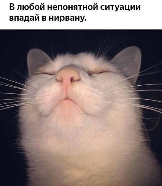 В любой непонятной ситуации впадай в нирвану