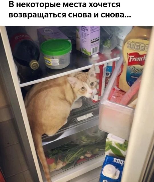 В некоторые места хочется ВОЗВРЭЩЗТЬСЯ снова И снова