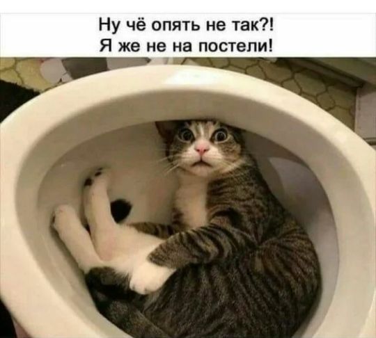 Ну чё опять не так Я же не на постели