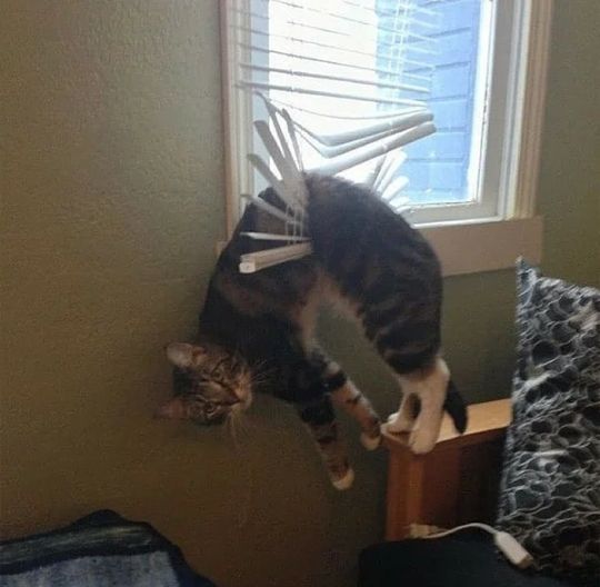 и _