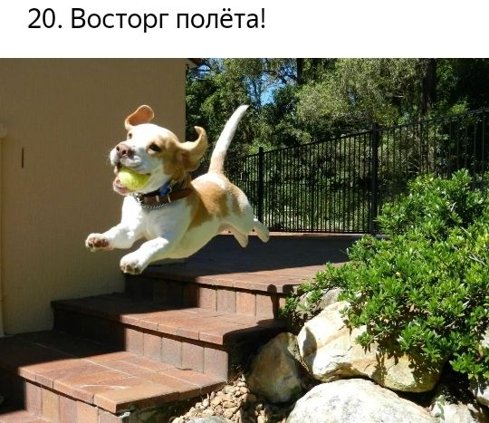 20 Восторг полёта