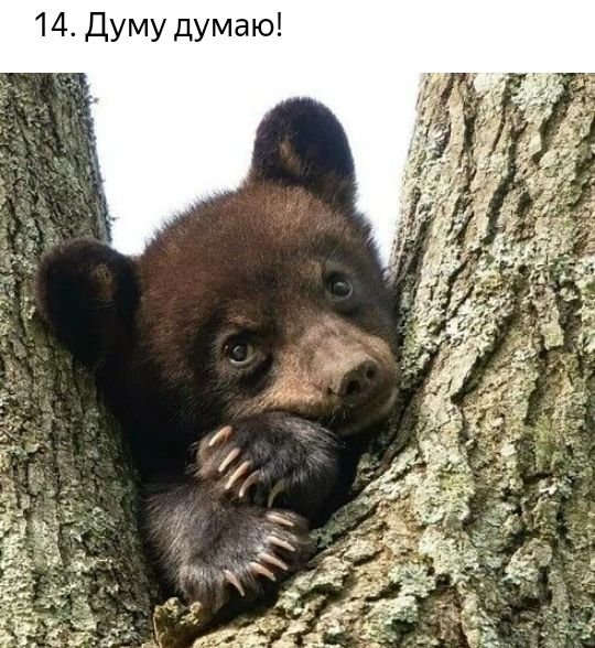 ю 3 М У Л У М У д 4 1