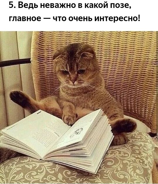 5 Ведь неважно в какой позе главное что очень интересно
