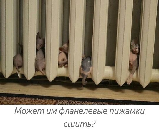 Может ЦМ фланепевые ПЦЖдМКЦ сшить
