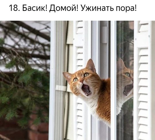 18 Басик Домой Ужинать пора _ ііііііі