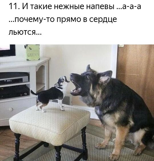 11 И такие нежные напевы а а а почему то прямо в сердце льются ці